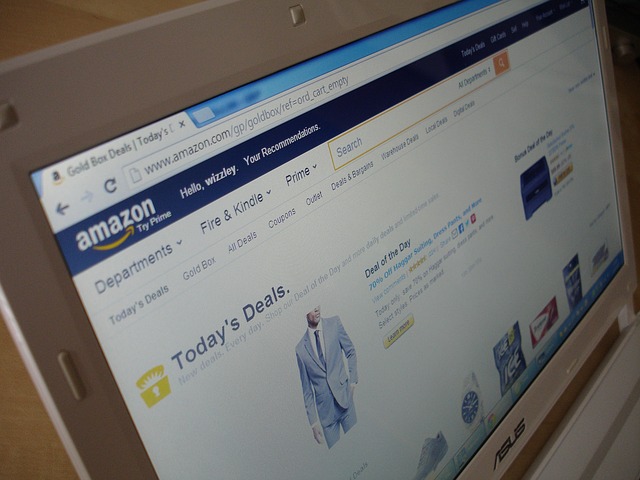 web Amazonu